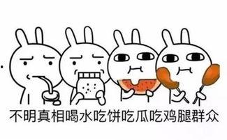 娱乐吃瓜酱热点,明星秘闻大揭秘，热点事件追踪